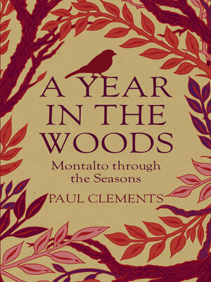 cover image of A Year in the Woods